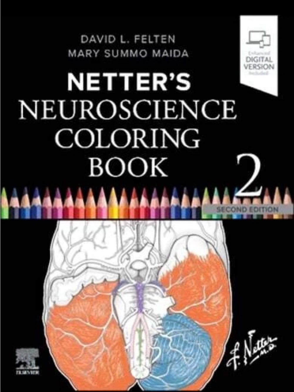 Netter's Neuroscience Coloring Book by PhD Felten, David L, MD: Nee